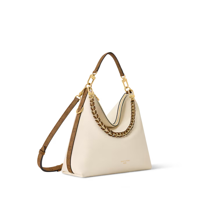 LV Multipass bag